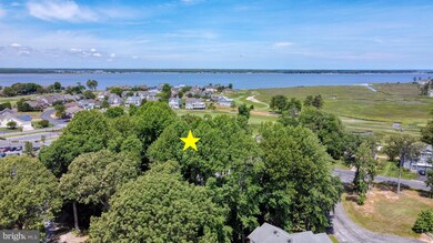 29445 Turnberry Dr, Dagsboro, DE 19939 - photo 5