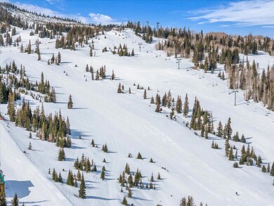 Ski In - Ski Out