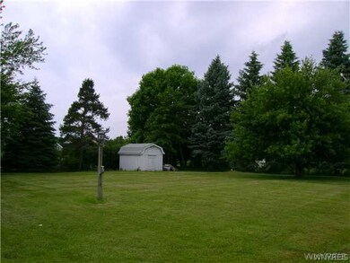 Shed