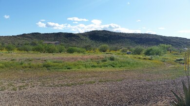 Phone Pictures 586