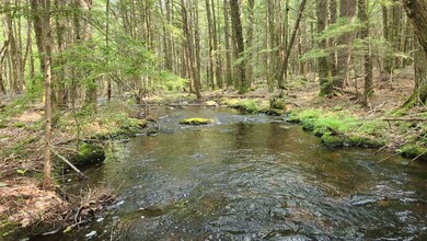 104 Beauty Hill Rd, Center Barnstead, NH 03225 - photo 2