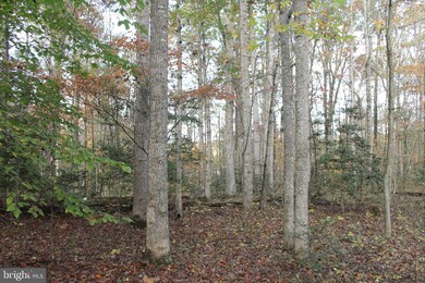 0 S Pines Rd, Lee, VA 20186 - photo 4