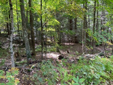 0 Hubbardston Rd, Barre, MA 01005 - photo 3