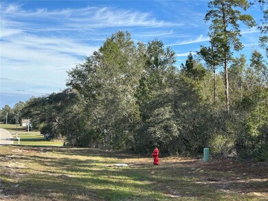 0 SW Marion Oaks Ln unit MFRO6171762, Ocala, FL 34473 - photo 3