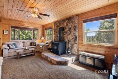 Wood Burning Stove