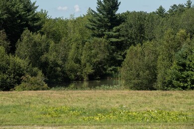 Overlooking Pond
