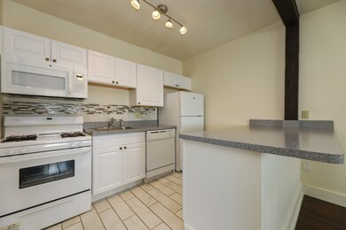 18 Roberts St unit 5, Brookline, MA 02445 - photo 7