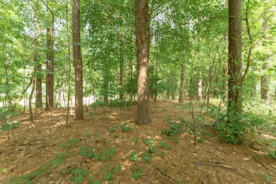 VL 107th Ave, Otsego, MI 49078 - photo 5