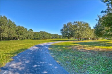 6612 Perpetual Ln, Wesley Chapel, FL 33545 - photo 3