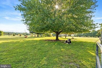 537 Arneytown-Chesterfield Rd, Chesterfield, NJ 08515 - photo 5