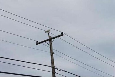 20 Beacon Ave unit 5, Newburyport, MA 01950 - photo 6