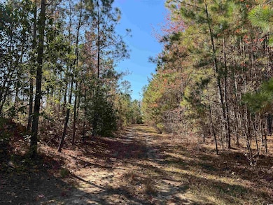 819 Quail Rd, Hemingway, SC 29554 - photo 4