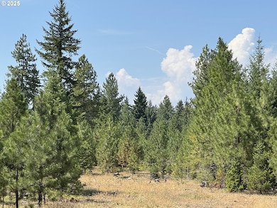 00 Ranger Rd, Goldendale, WA 98620 - photo 3