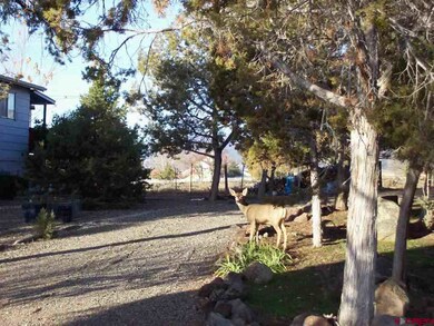 0 NE Ginters Grove Ln unit 686851, Cedaredge, CO 81413 - photo 4