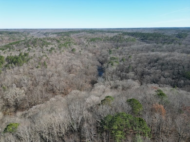 0, Hodges, AL 35571 - photo 2