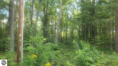 0 Fifth St unit 33, West Branch, MI 48661 - photo 3