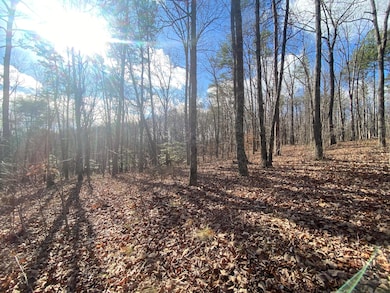 Bluff View 3