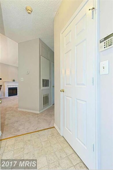 13068 Autumn Woods Way unit 203, Fairfax, VA 22033 - photo 6