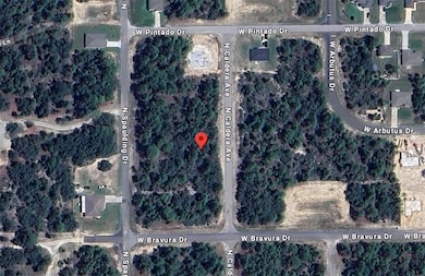 10660 N Caldera Ave, Citrus Springs, FL 34433 - photo 3