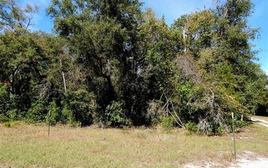 00 280th St, Branford, FL 32008 - photo 3