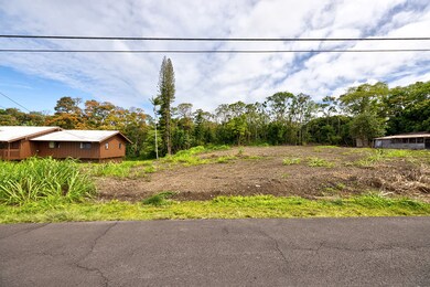 0 Leimamo St, Hilo, HI 96720 - photo 3