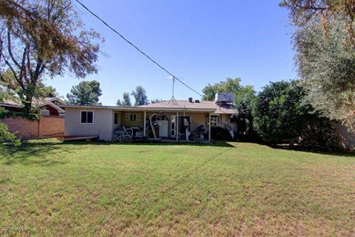 Backyard_3980