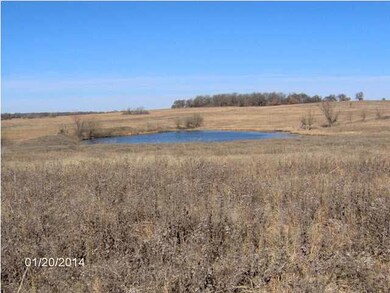 Pond 2 Good water for cattle.