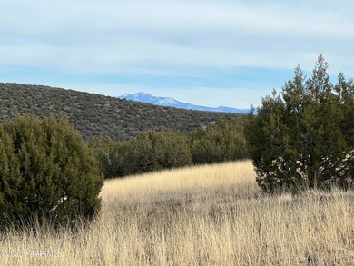 11975 W Dozer Ave, Ash Fork, AZ 86320 - photo 5