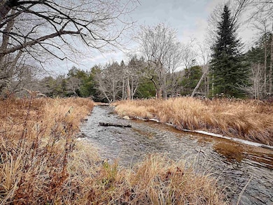 1076 New Hampshire 123a, Acworth, NH 03607 - photo 5