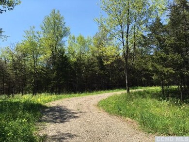 0 Cemetery Rd unit 109123, Clermont, NY 12526 - photo 2