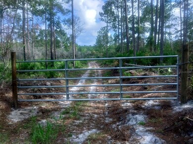 0 SW 75th St, Cedar Key, FL 32625 - photo 4