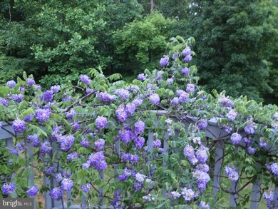 1426 Nelson Ln, Amissville, VA 20106 - photo 7