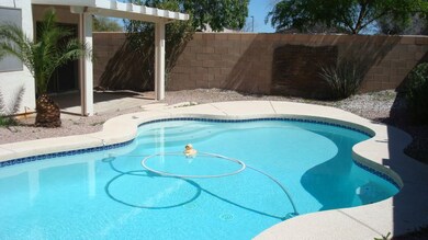 Pool and covered patio