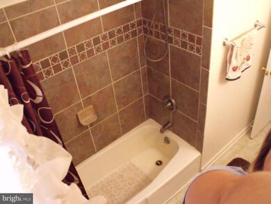 2205 Liberty Furnace Rd, Edinburg, VA 22824 - photo 4