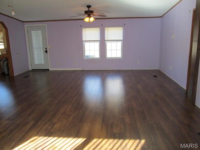 310 Pickles Ford Rd, Saint Clair, MO 63077 - photo 4