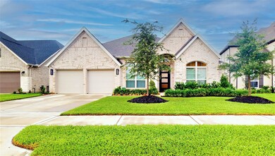 19110 Flaxen Haflinger Trail, Tomball, TX 77377 - photo 7