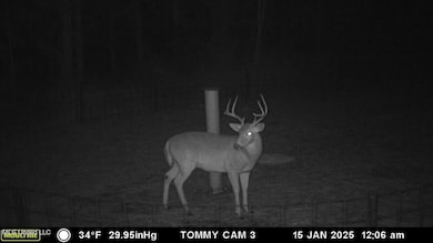 3032 Osyka Progress Rd, Osyka, MS 39657 - photo 3