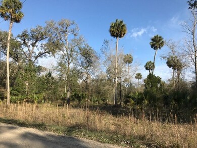 XXX River Plantation Rd, Crawfordville, FL 32327 - photo 3