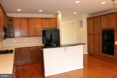 9071 Ribbon Falls Loop, Bristow, VA 20136 - photo 6