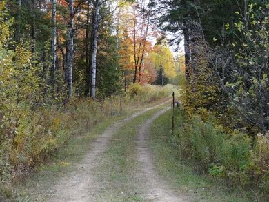 N9656 Cth T, Tomahawk, WI 54487 - photo 4