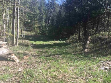 00 Ferno Rd, Williamstown, VT 05679 - photo 5