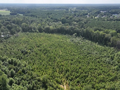 Rd unit LotWP001, Zebulon, NC 27597 - photo 7