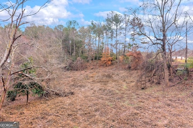 510 Gumlog Grove Rd, Lavonia, GA 30553 - photo 4