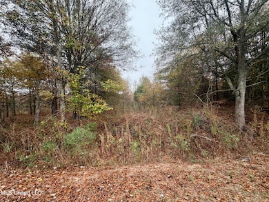 0 Fairview Rd, Charleston, MS 38921 - photo 2