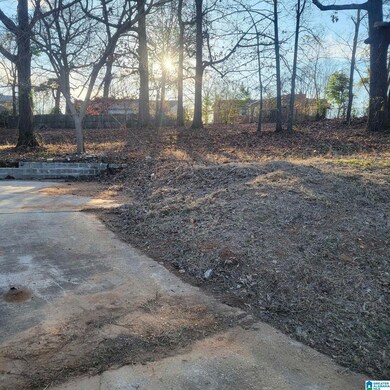 1017 Grand Oaks Cir unit 14, Fairfield, AL 35064 - photo 3