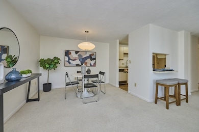 1600 Massachusetts Ave unit 404, Cambridge, MA 02138 - photo 6