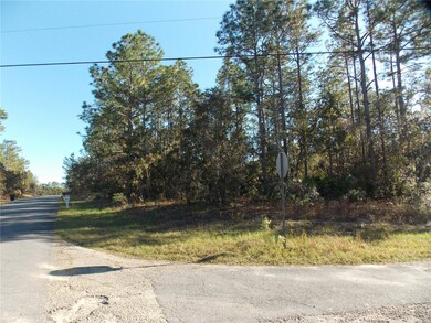 9432 N Cherry Lake Dr, Citrus Springs, FL 34433 - photo 2