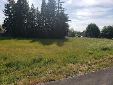 unlisted-address, Cottonwood, CA 96022 - photo 4