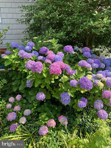 119 Lake View Dr, Annapolis, MD 21403 - photo 4