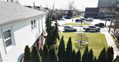 arial view